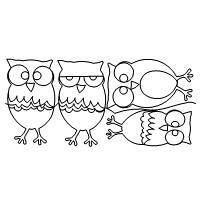 barnabas owl pano 001